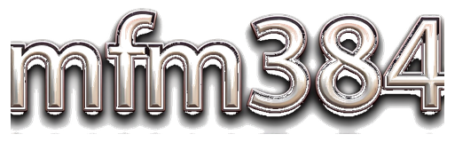 mfm384 logo